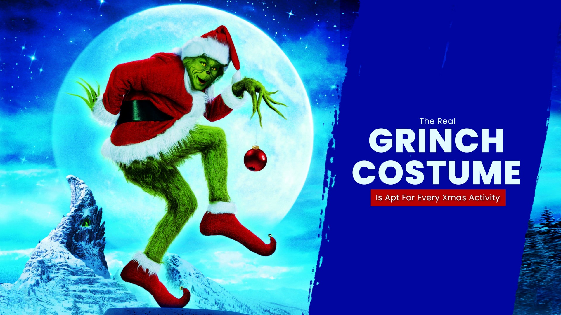 The Real Grinch Costume Is Apt For Every Xmas Activity - Onealexanews.com